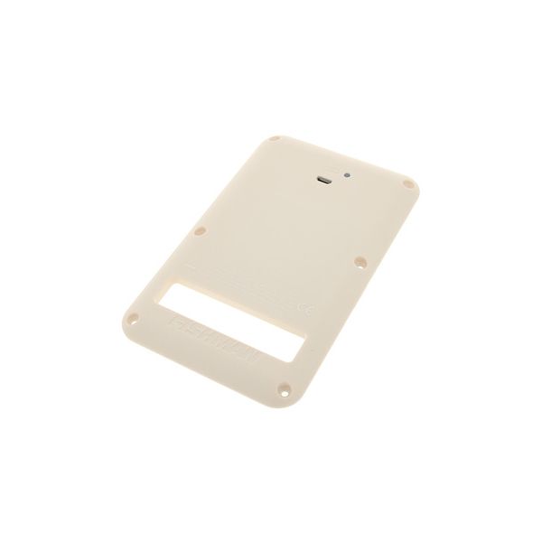 Fishman Rechargeable Battery P B-Stock
