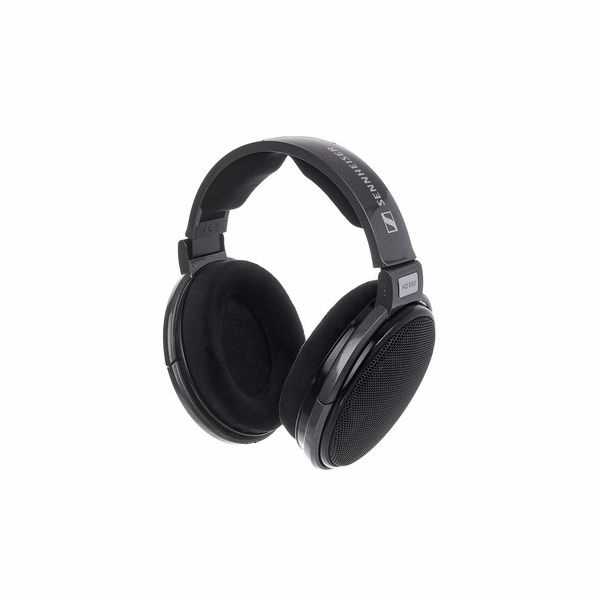 Sennheiser HD 650 Headband Headphones - Titan for sale online