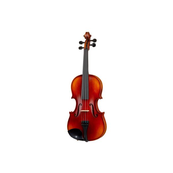 Gewa Allegro VL1 Violin Set B-Stock