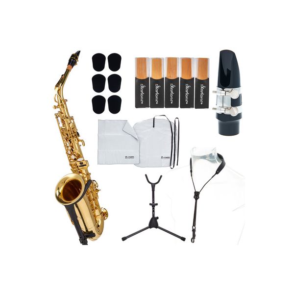 pan american alto saxophone pad set