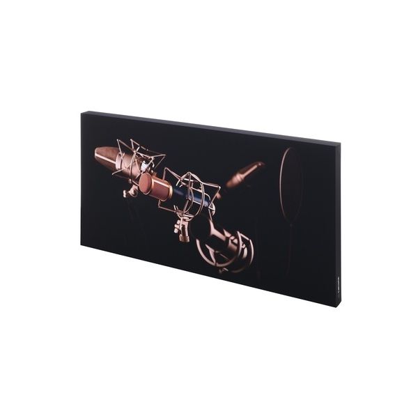 t.akustik Print Panel Mic Check B-Stock