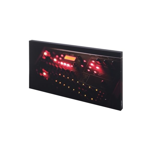 t.akustik Print Panel The Prophe B-Stock