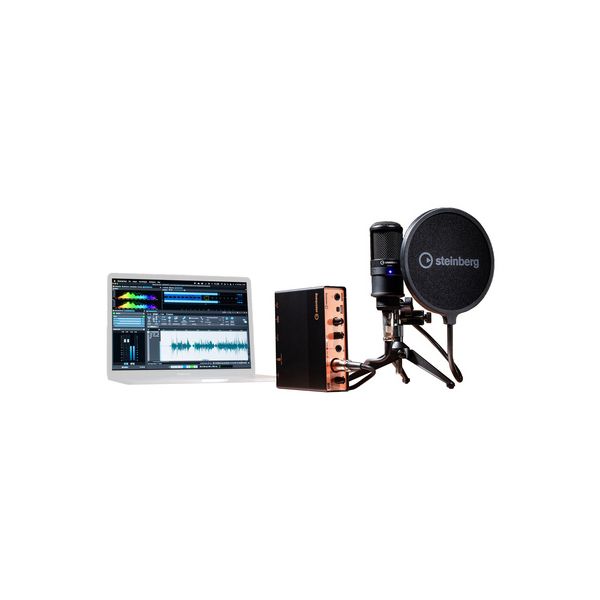 Steinberg UR12 Podcast Starter P B-Stock