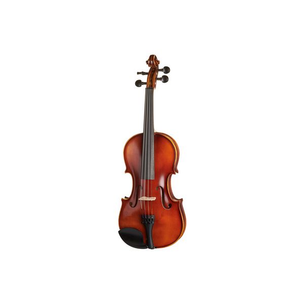 Gewa Allegro Violin Set 4/4 B-Stock