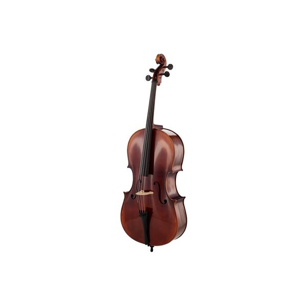 Gewa Maestro 6 Antique Cell B-Stock