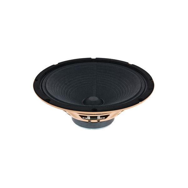 Mojotone Anthem 10" 16 Ohm Spea B-Stock