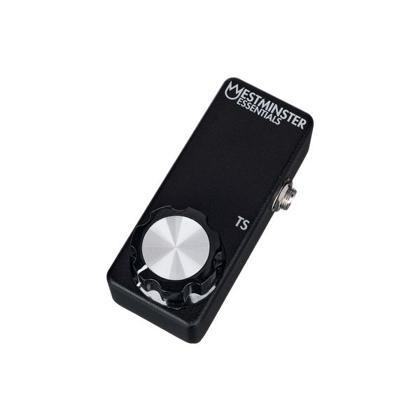 Westminster Effects Micro Expression TS B-Stock
