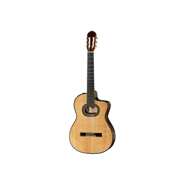 Takamine DH90 w/Softcase B-Stock