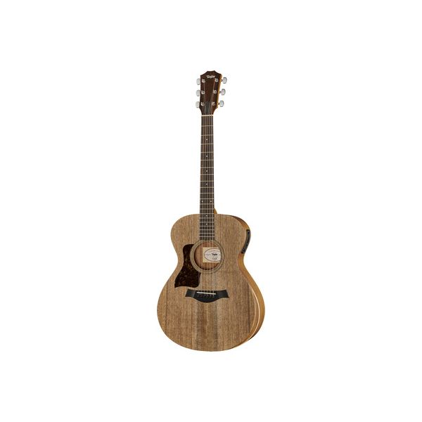 Taylor Academy Series 22e LH B-Stock