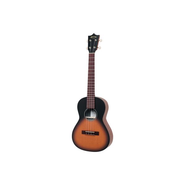 Martin Guitar Martin Guitar 0X Ten U B-Stock