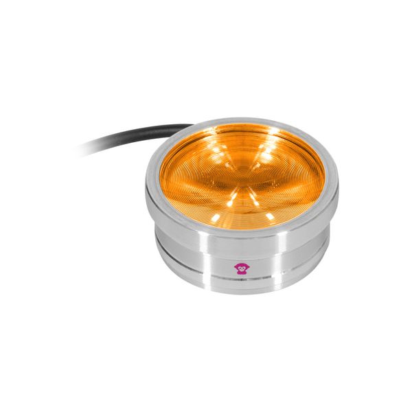 Ape Labs ApeCoin V2 IP B-Stock