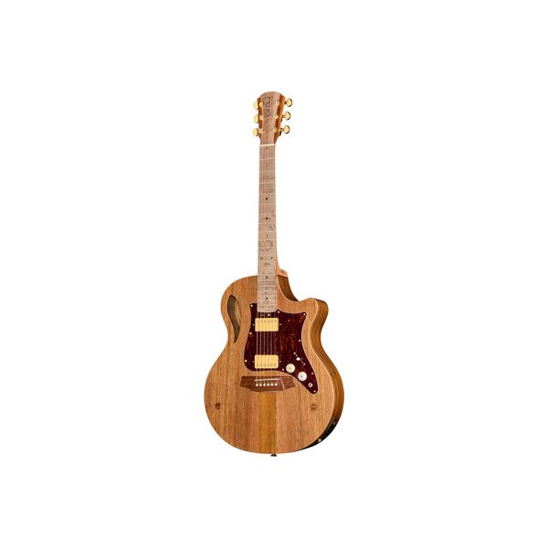 Cole Clark AN2EC-BLBL-HH B-Stock