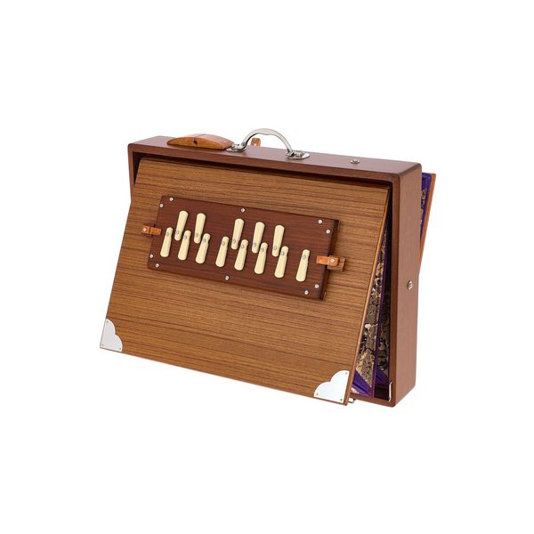 Thomann Nataraj Prof. Shruti B B-Stock