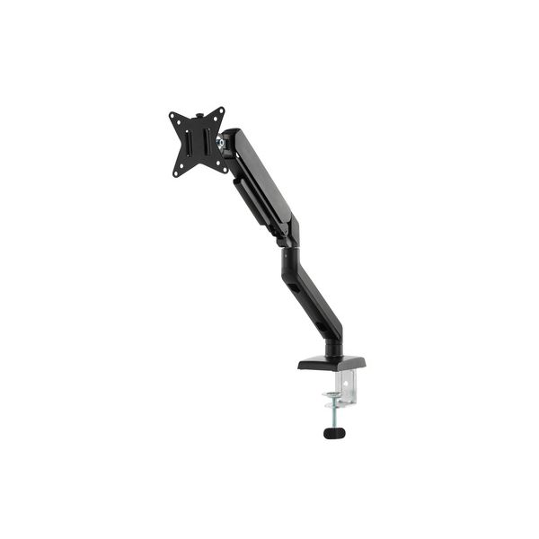 Roadworx Basic VESA Monitor Arm B-Stock