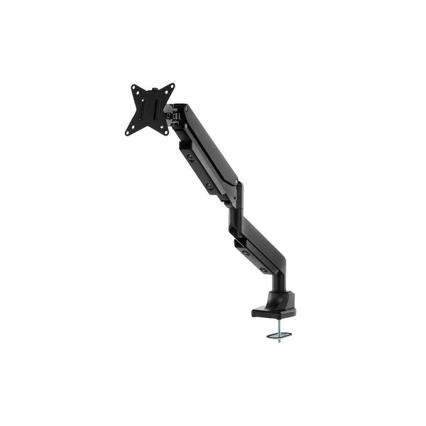 Roadworx VESA Monitor Arm B-Stock