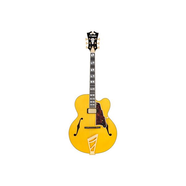DAngelico Excel EXL1 Amber B-Stock