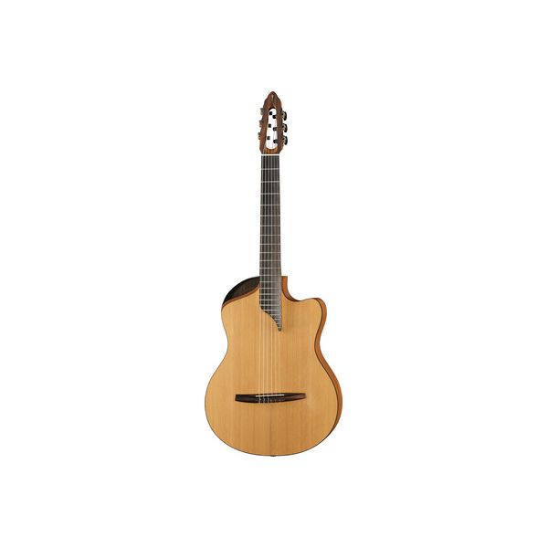 NOVA Guitars Innovator w/PU B-Stock