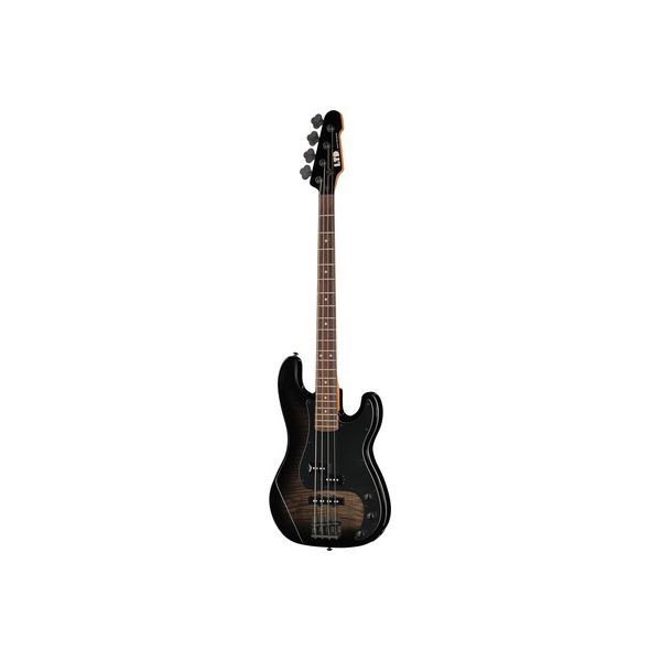 ESP LTD Surveyor-204DX BB B-Stock