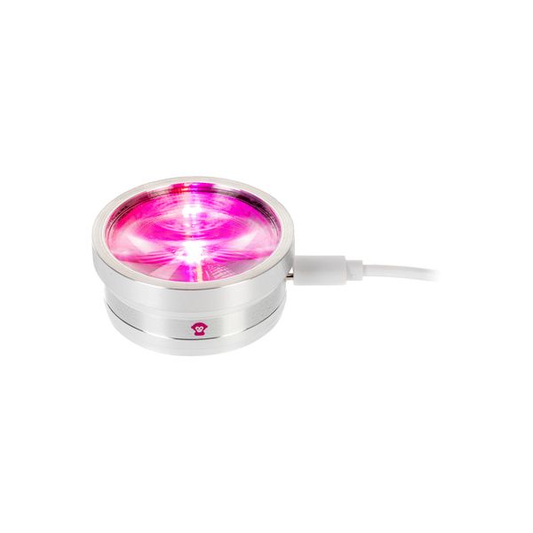 Ape Labs ApeCoin USB-C B-Stock
