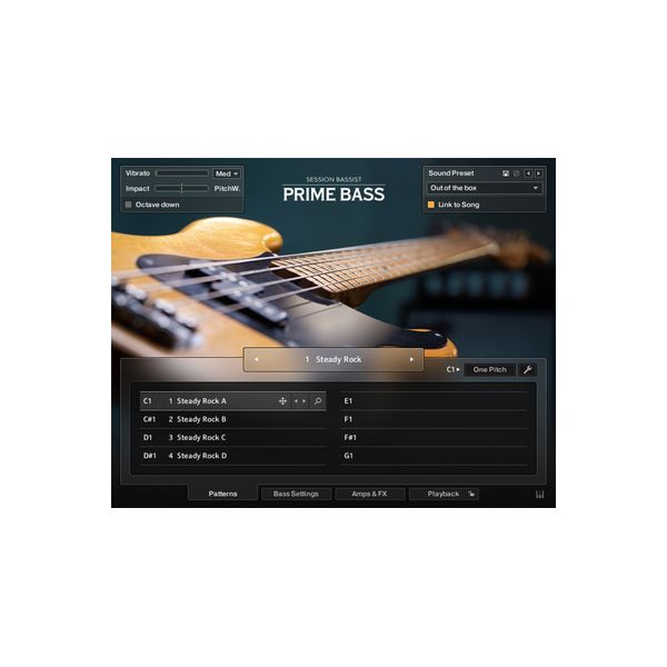 Native Instruments Session Bassist Prime Bass