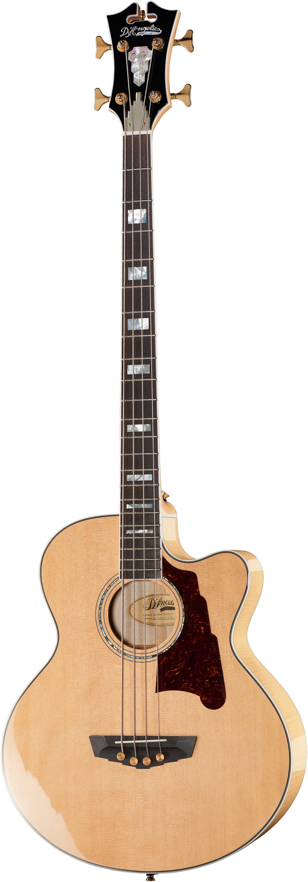 Acoustic or electric Thomann UK