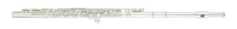 Beginner Flutes – Thomann UK