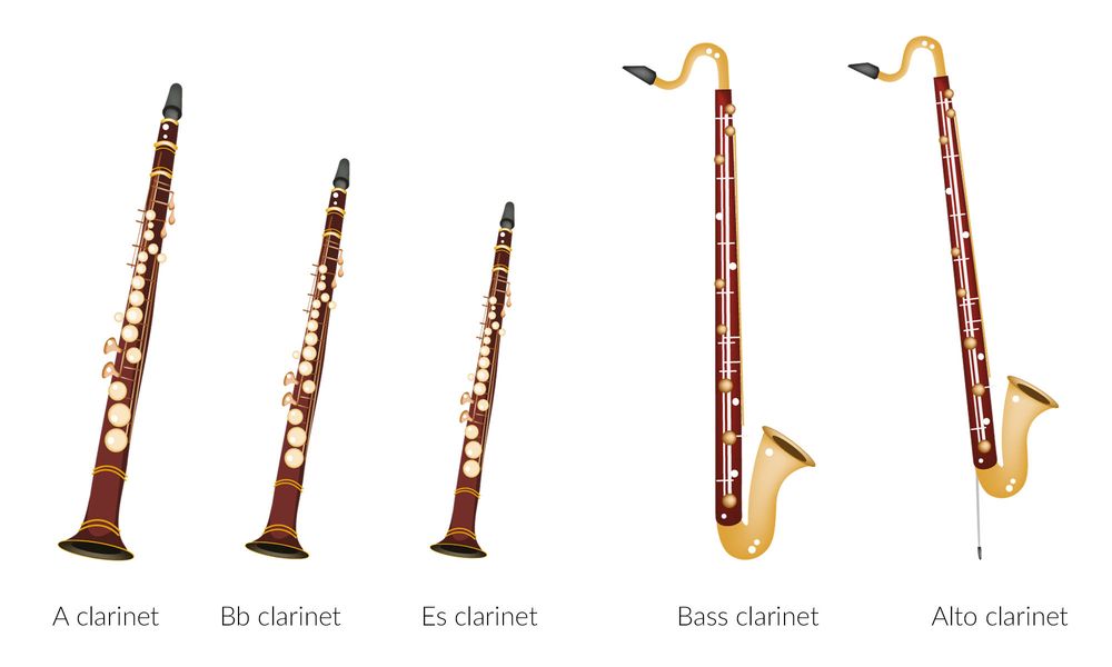 Instrument Families Thomann United States
