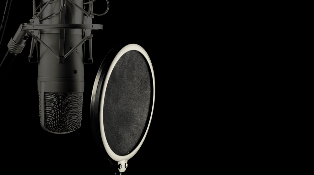 Microphone accessories