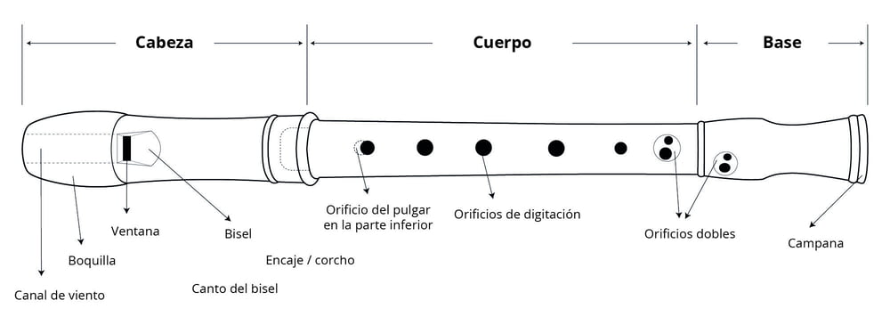 ᐈ Flauta Dulce【guía Práctica】historia Partes Cómo Tocar