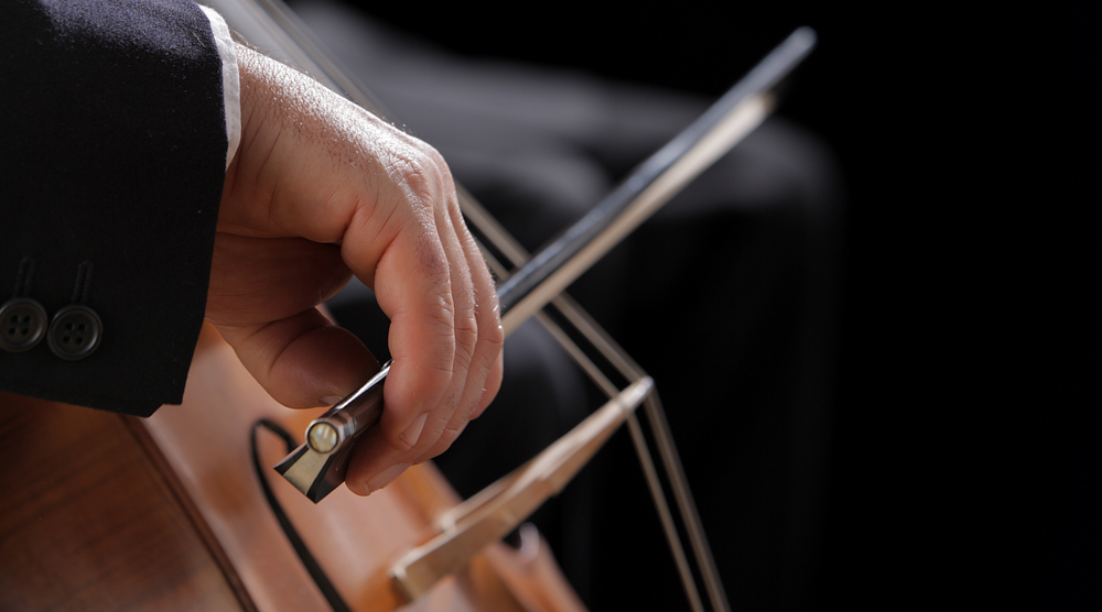Violonchelos