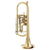 Gerd Dowids BZ-Series C-Trumpet