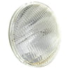 GE Lighting PAR56 300 Watts MFL