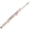 Philipp Hammig 663/1/W/R Flute Open Holes