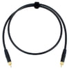 Cordial CPDS1 CC