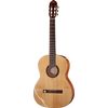 VGS Pro Arte GC130 II