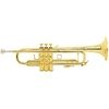 Bach LR 180-43H ML Trumpet