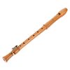 Mollenhauer 2246 Canta Alto Recorder