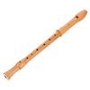 Mollenhauer 2256 Canta Alto Recorder