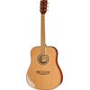 Harley Benton D-120NT