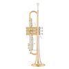 Kühnl & Hoyer Sella G Bb-Trumpet 115 21