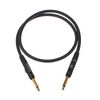 Planet Waves PW-PC-02