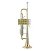 Bach 180-25G L Trumpet