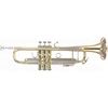 Bach LT 180-37G ML Trumpet