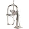 Bach 183G S Flugelhorn
