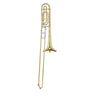 Bach TB 200 Bb/F-Tenor Trombone