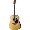 Martin Guitars D-42