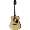 Epiphone DR-100 NT