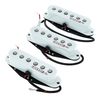 Kinman Blues Strat Set