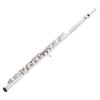 Muramatsu GX-CCE Flute