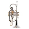 Besson BE2028-2 Prestige Bb-Cornet